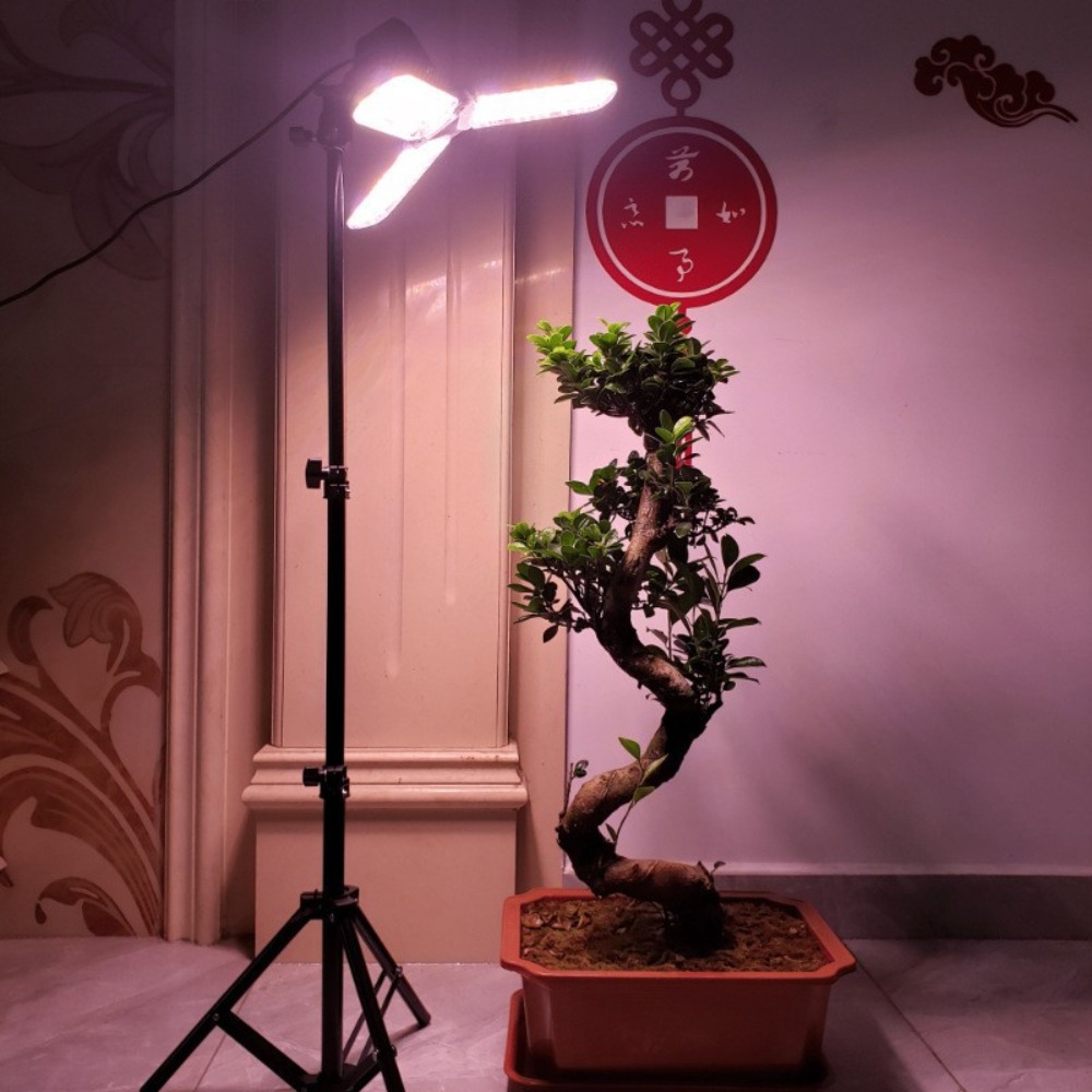 Ampul Standı 2M, Şemsiye Lamba - Photography Lighting Mount incelemesi ve fiyatı